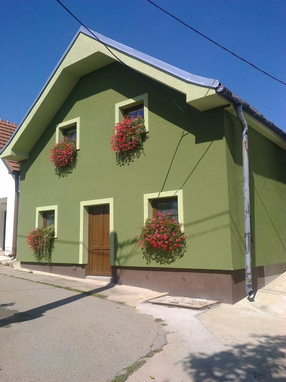 Penzion Andrea Velké Bílovice Buitenkant foto